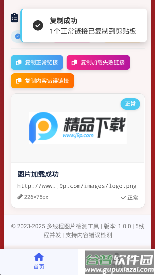图片链接检测状态截图1