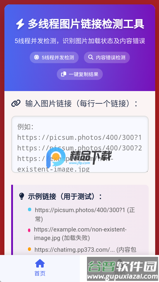 图片链接检测状态截图4