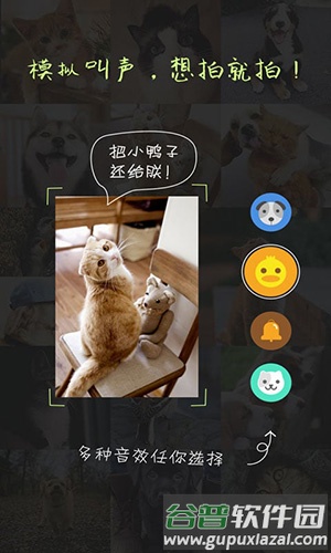 萌宠相机软件截图3
