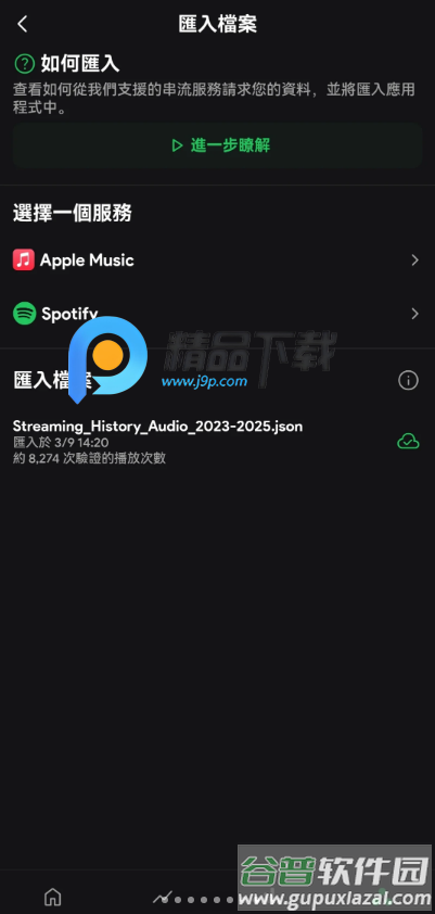 Spotistats.fm软件