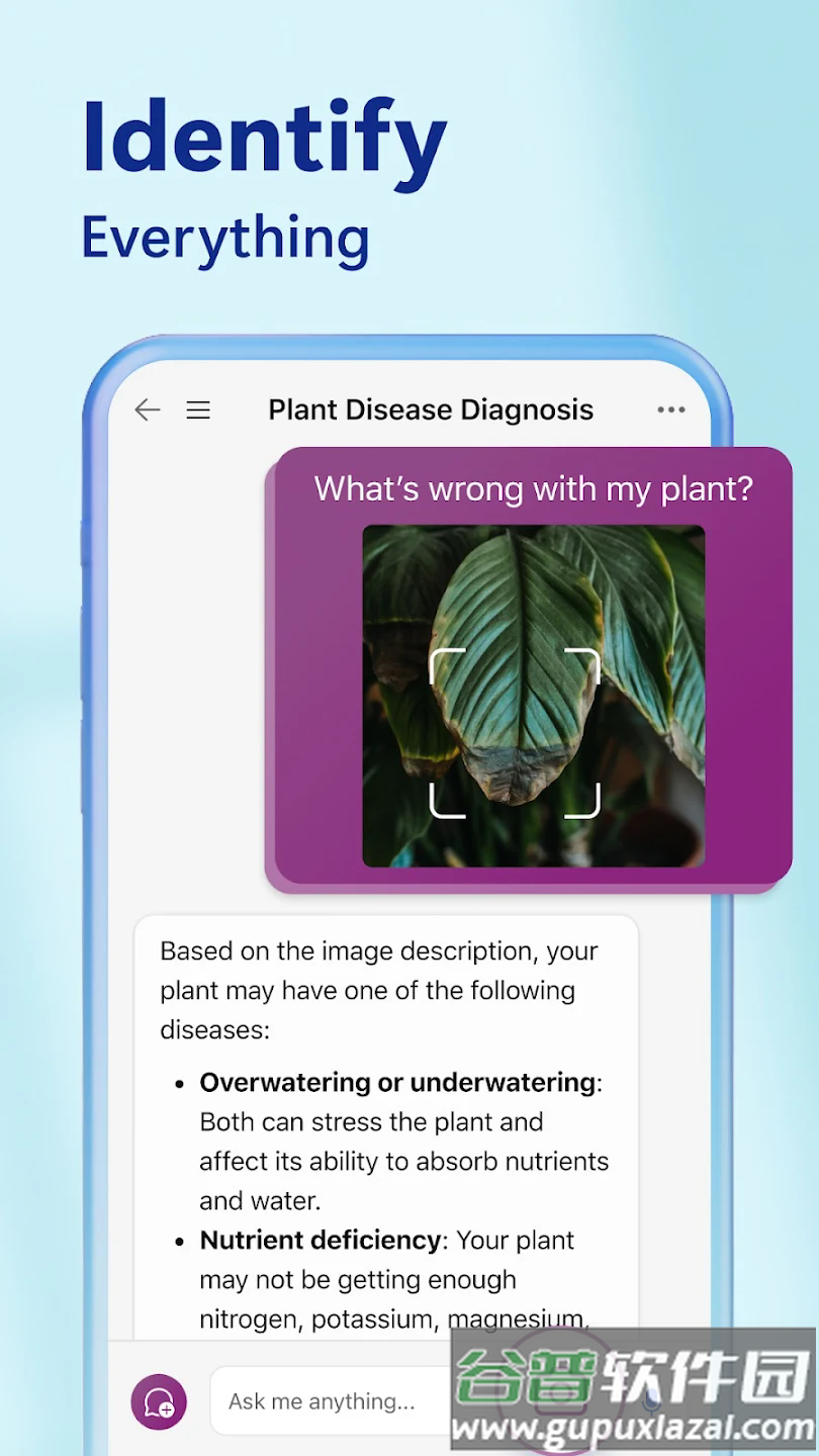 必应bing国际版app截图2