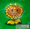 植物大战僵尸梦境版