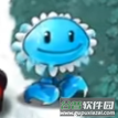植物大战僵尸梦境版