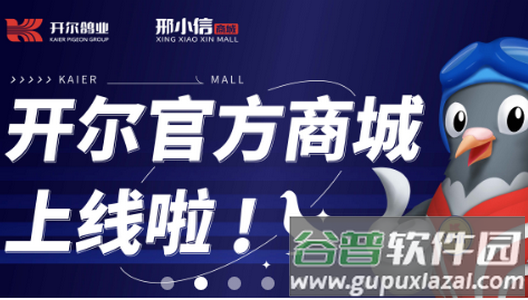 开尔邢小信app官方版