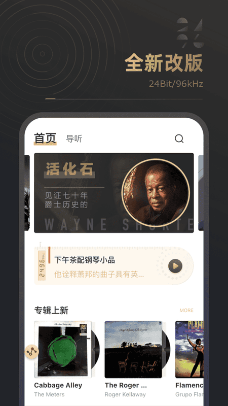2496音乐播放器截图2