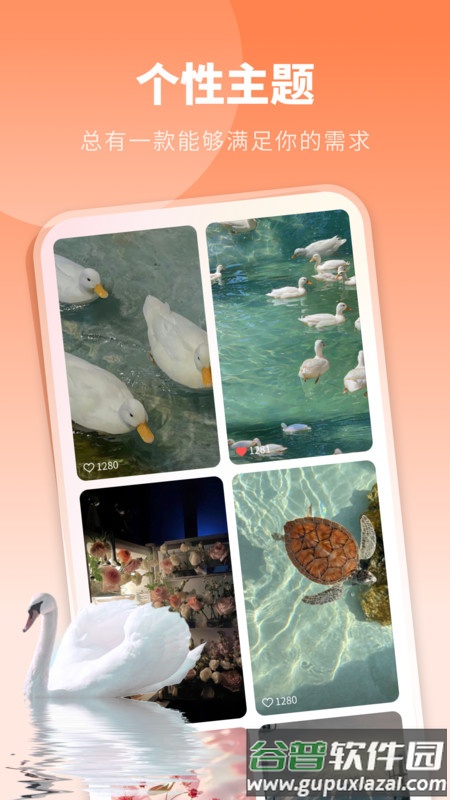 酷琪壁纸APP截图2