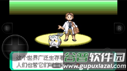 口袋妖怪火红全随机版新手攻略3