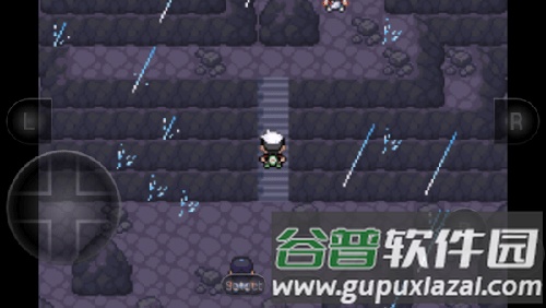 口袋妖怪火红全随机版新手攻略5