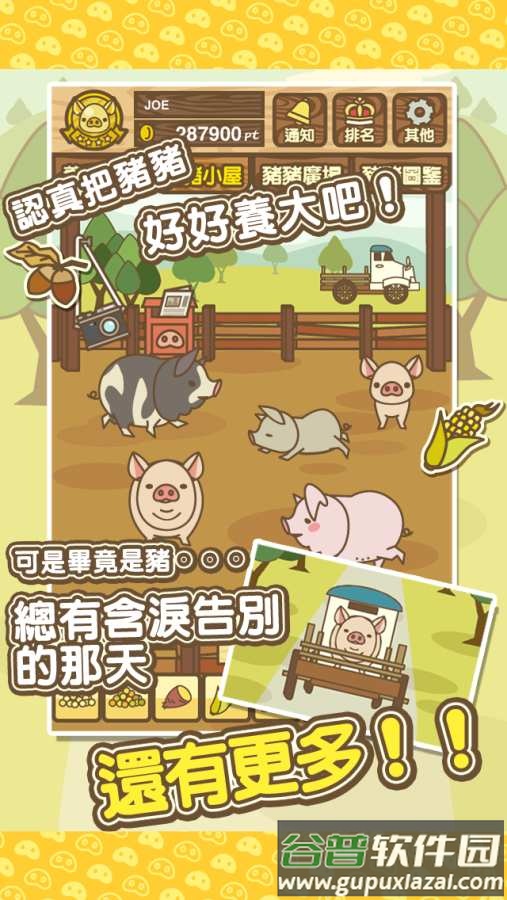养猪场MIX手游截图3