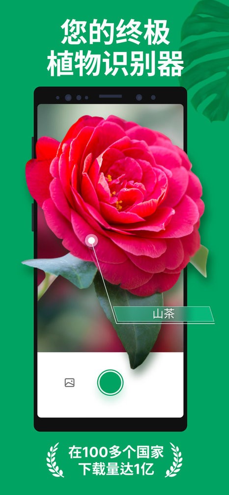植物识别扫一扫软件(PictureThis)截图1