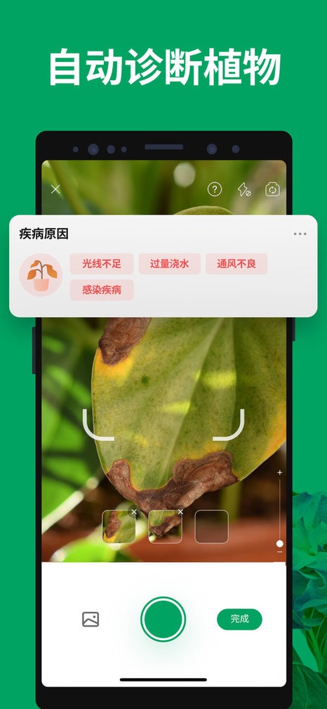 植物识别扫一扫软件(PictureThis)截图2