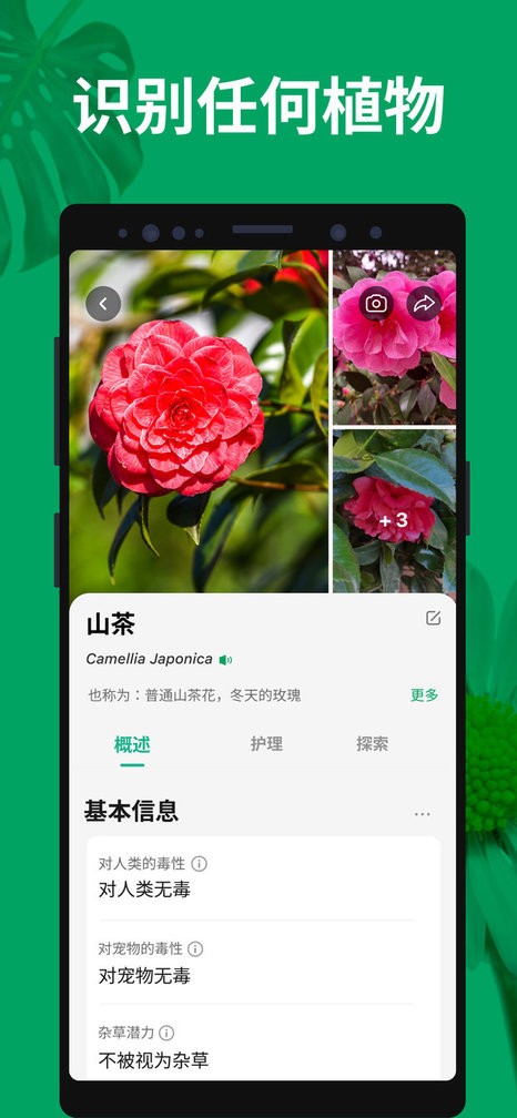 植物识别扫一扫软件(PictureThis)截图3