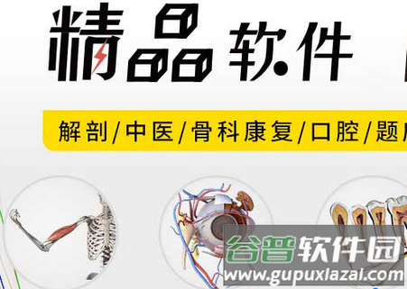 3Dbody解剖学app最新版