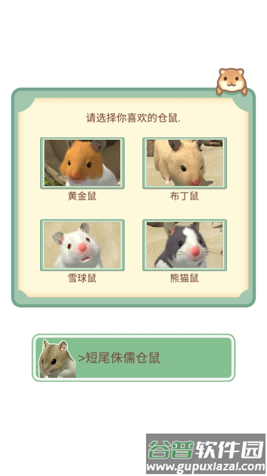 我的仓鼠游戏安卓版截图1