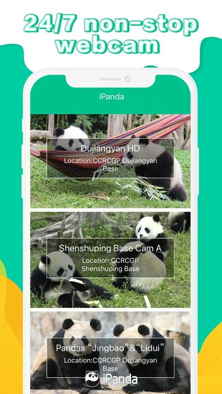 ipanda熊猫频道24小时直播app截图1