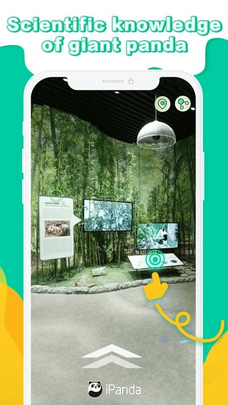 ipanda熊猫频道24小时直播app截图3