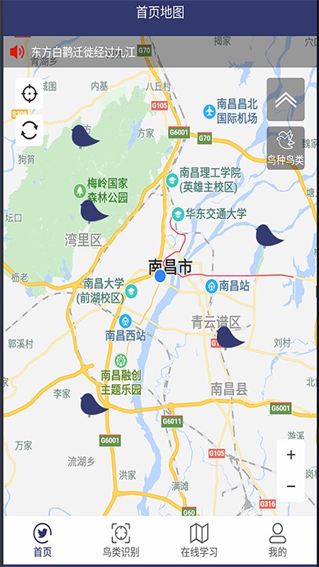 图音识鸟app截图2