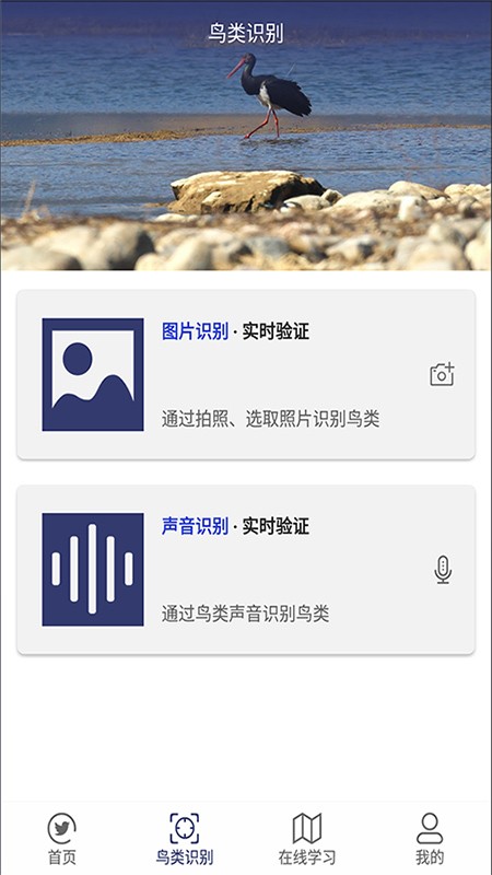 图音识鸟app截图3