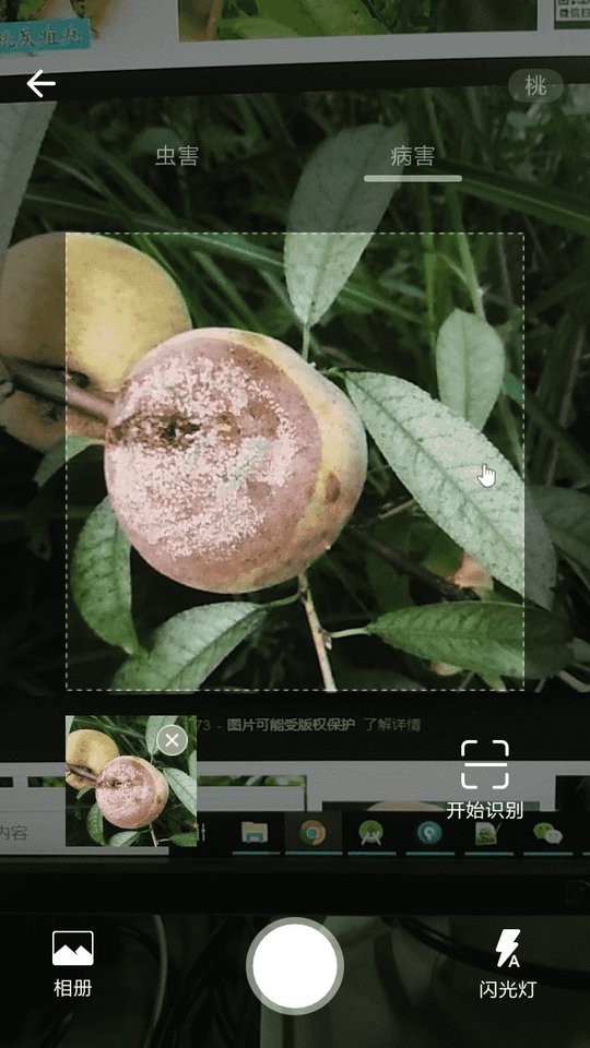 植保家官方版