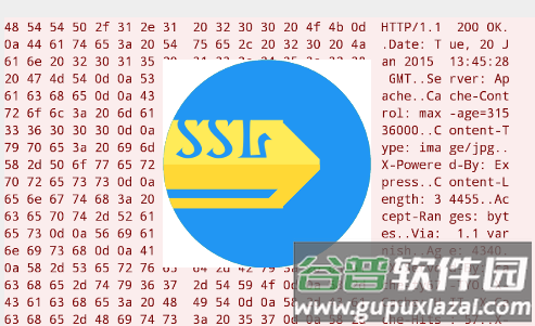 免费抓包Packet Capture汉化版