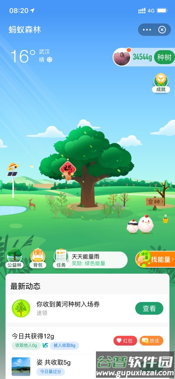 支付宝app客户端截图4