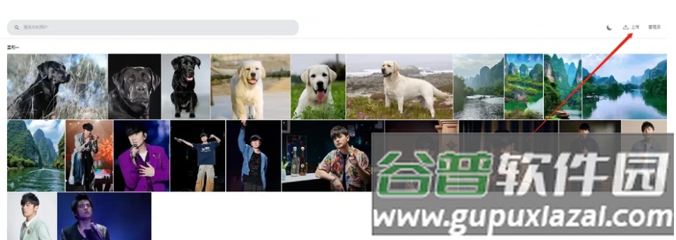 Immich安卓app