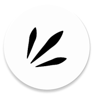 Rays表情包管理v2.2