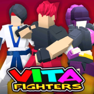 VitaFighters游戏v.954 手机版
