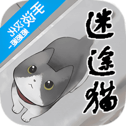 迷途猫游戏v1.1
