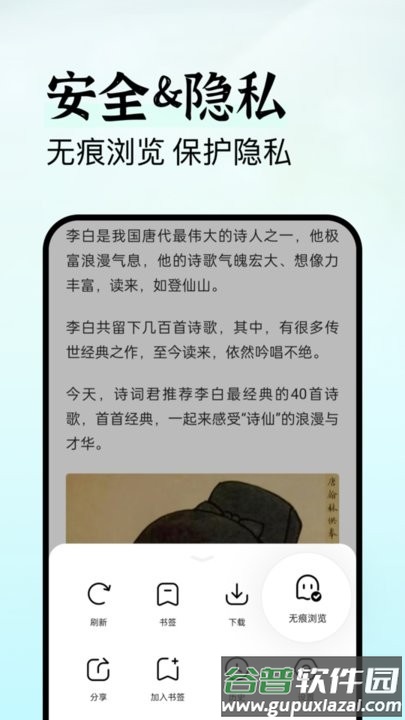 隐私侠浏览器手机版截图3