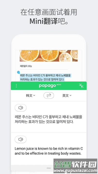 papago中韩翻译截图3