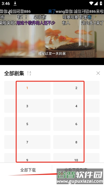 小柿子