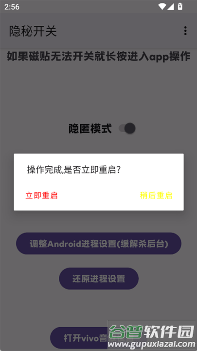 隐秘开关app截图1