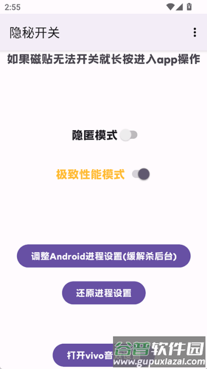 隐秘开关app截图4
