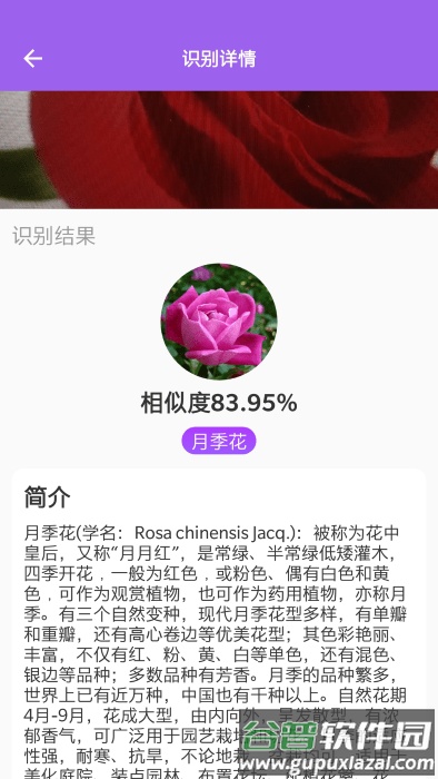 随手拍照识别app截图2