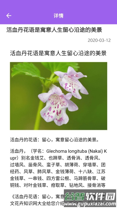 随手拍照识别app截图3