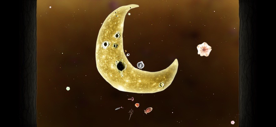 植物精灵游戏(Botanicula)截图1