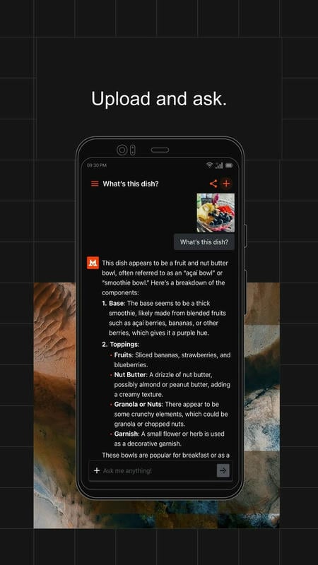 Le Chat最新版截图1