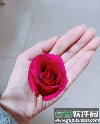 美图秀秀ai绘画版