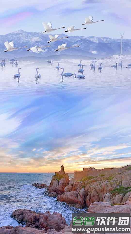 直播荣成手机客户端截图4