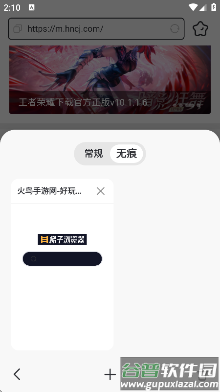 梯子浏览器手机版下载截图3