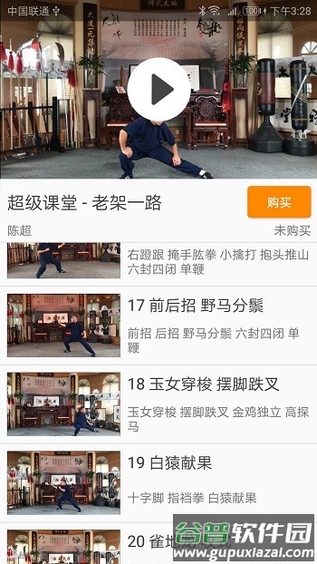 陈氏太极拳教学手机版截图3