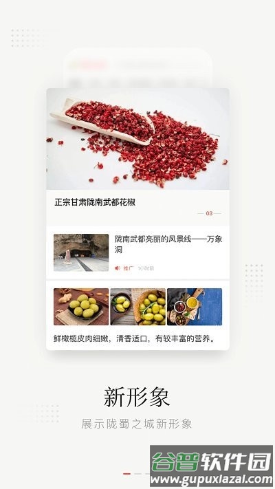 陇蜀之城app(改名万象武都)截图3