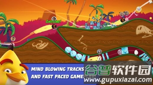 愤怒的小鸟赛跑游戏下载安装(Racing)截图4
