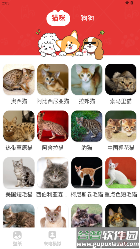 樱桃壁纸app小清新壁纸截图5