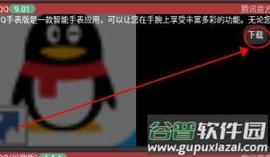莘应用手表版官方