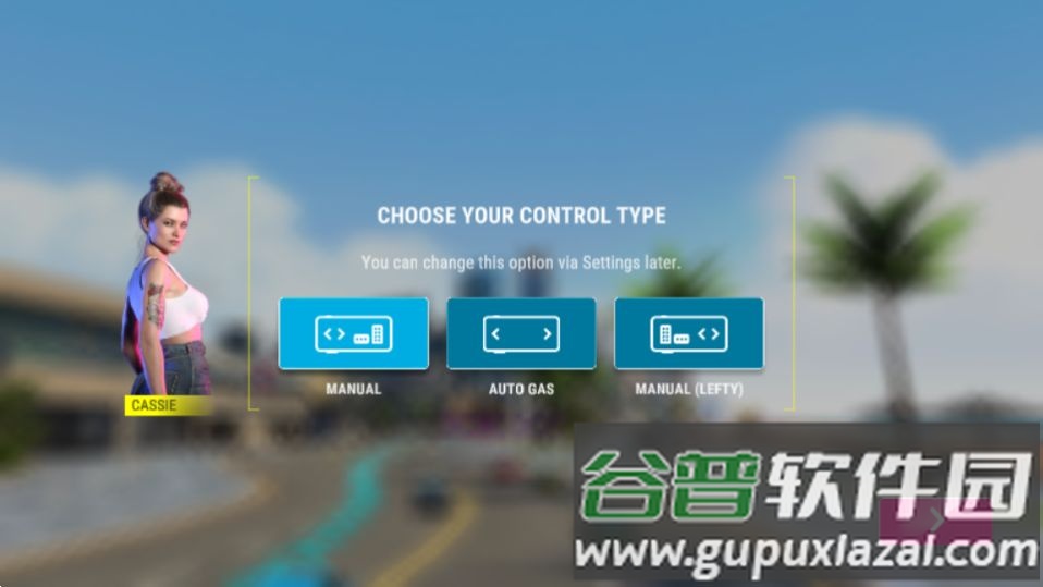 极限竞速专家游戏官方版截图3