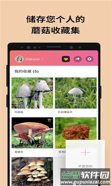 蘑菇识别助手(Picture Mushroom)截图2