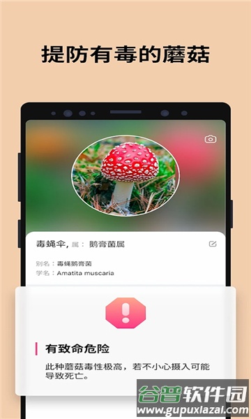 蘑菇识别助手(Picture Mushroom)截图4