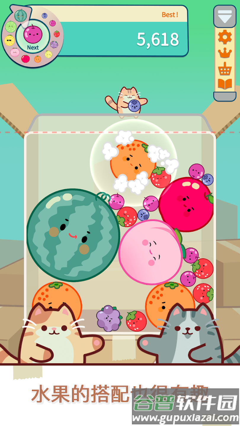 猫和西瓜游戏(Cat & Watermelon)截图3